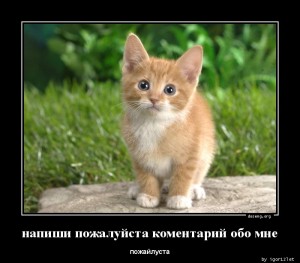 Мотивация к положительным отзывам