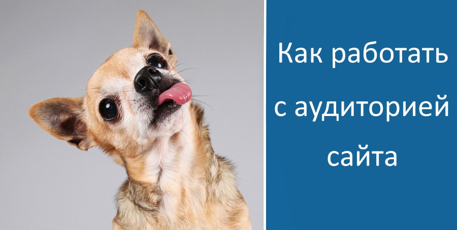 Важность постоянной аудитории для сайта
